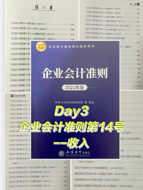 收入准则案例分析：软件定制企业收入确认问题(巨石公司收入开发过程中) 软件优化