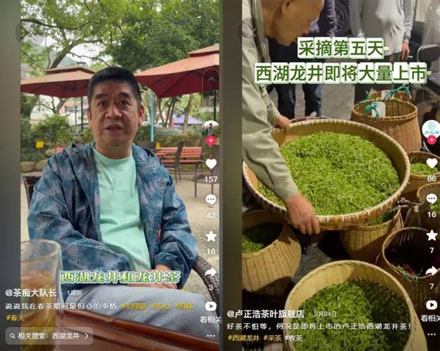 雅安名山区区长拼多多直播卖茶 超180万网友围观(山茶区长春茶直播产区) 软件开发