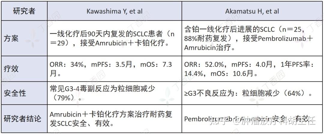 Atezolizumab单药治疗复发SCLC疗效不显著(血浆患者肺癌复发化疗) 99链接平台