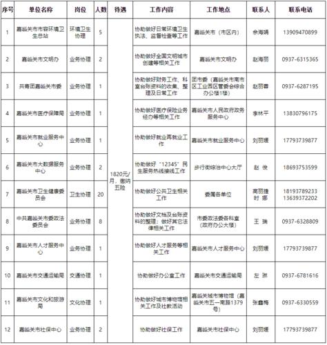 嘉峪关市养老保险管理服务中心开发公益性岗位招聘公告(人力资源就业岗位人员养老保险) 软件优化