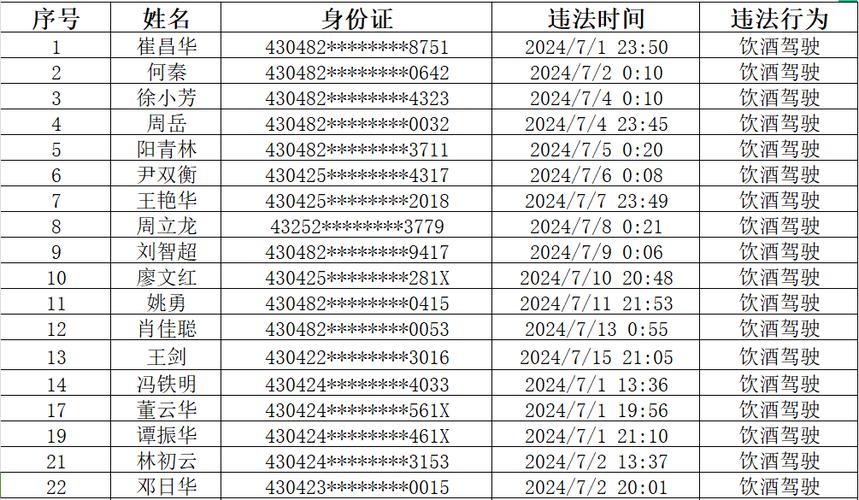 交警代码1005,探寻交通违法处理的智慧之路 软件优化