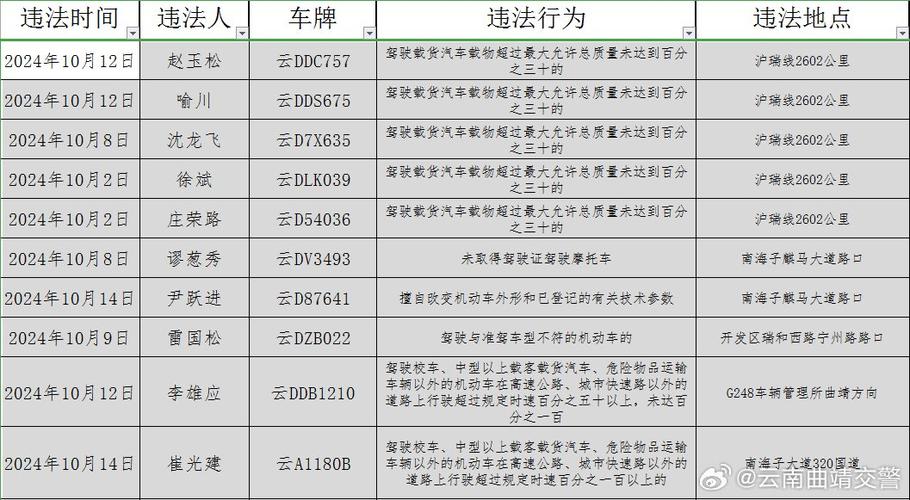 交警代码4160,介绍我国交通违法处罚体系中的关键一环 软件开发