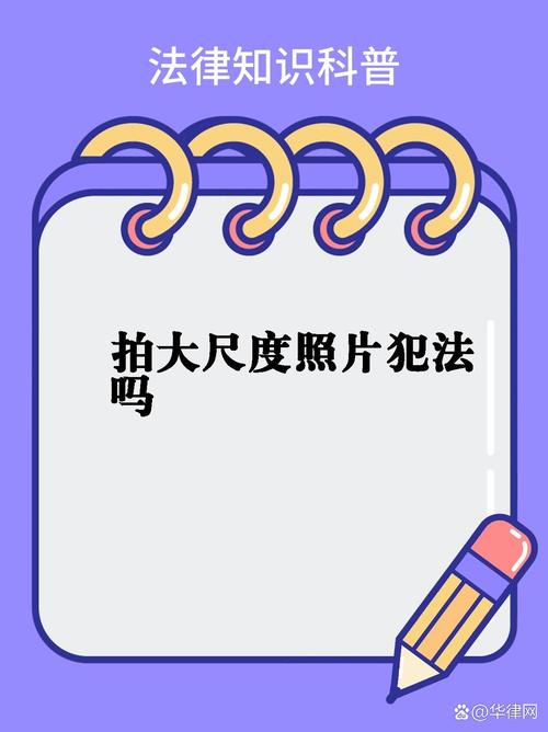 交通违章违法代码分析,透视违规行为背后的法律尺度 软件开发