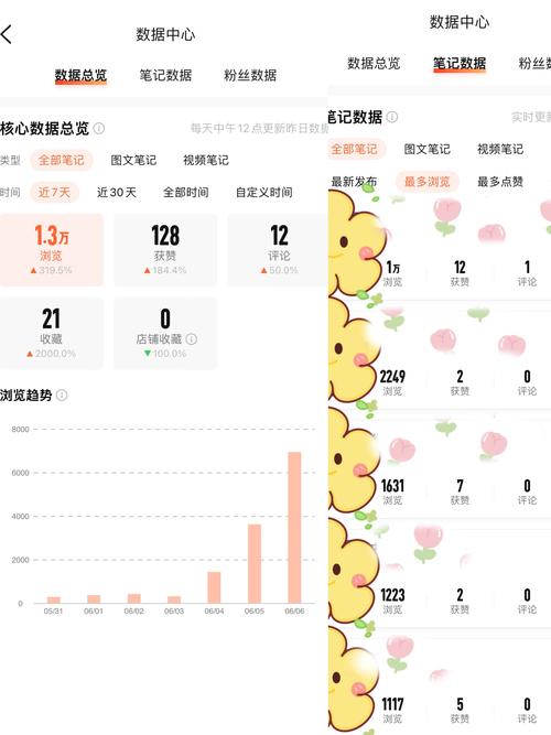 介绍cnzz代码,洞察网站流量背后的秘密 排名链接