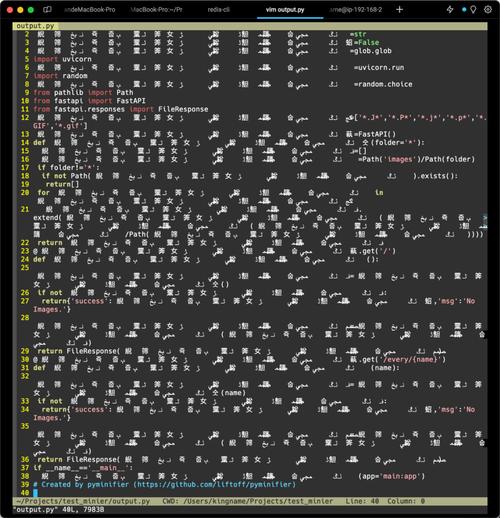 介绍Python代码批量混淆的艺术,安全与效率的完美融合 软件优化