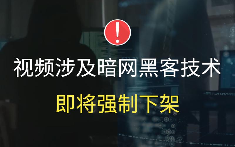 介绍tt语音黑客代码,技术漏洞与网络安全危机 99链接平台