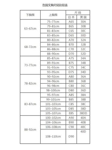 介绍品牌内衣标准代码,质量与品味的双重保障 软件开发